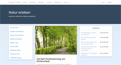 Desktop Screenshot of euregio-im-bild.de